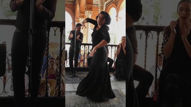 Final Photography Project: The Flamenco Loop смотреть онлайн