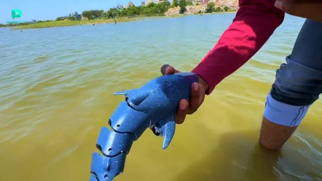 RC Stingray Under Water Fastest Fish Unboxing  Testing - Chatpat toy tv
