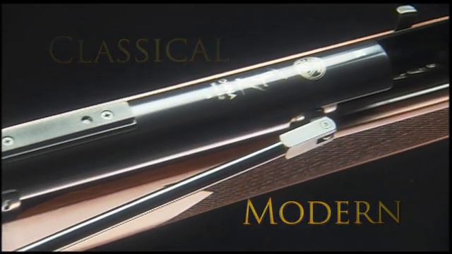 RWS Air Rifles Commercial смотреть онлайн