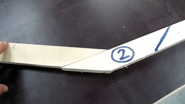 Геометрия и жизнь