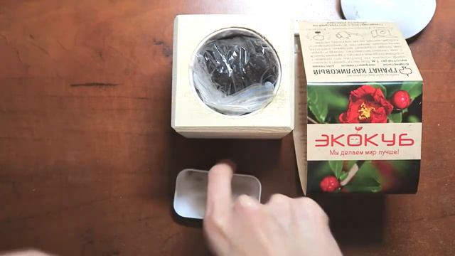 Открываю MEGABOX|Что там в нутри? смотреть онлайн