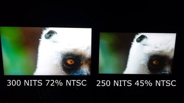 Do Not Buy These Laptops! 45% NTSC Vs 72% NTSC
