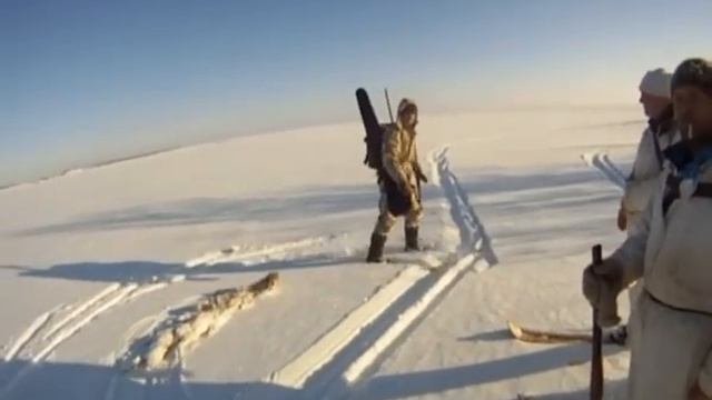 Охота на зайца. Закрытие сезона 2012 13 смотреть онлайн