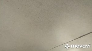 Обшиваю потолок с ДВП