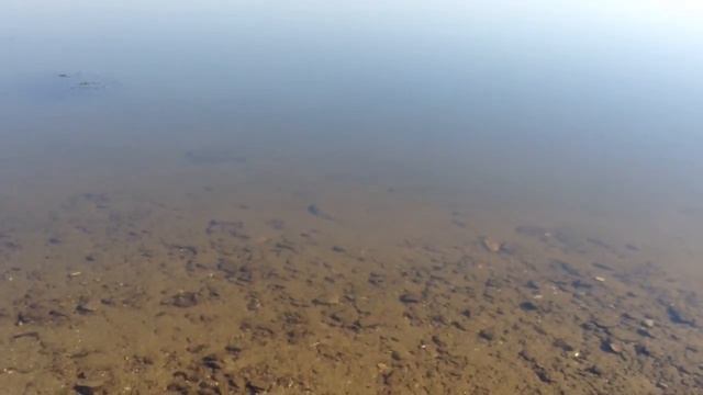 Панорама Волги в Городне. смотреть онлайн