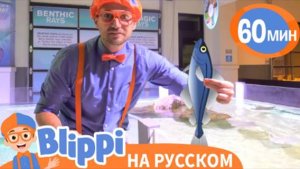 Обитатели Океанариума | Изучай этот мир вместе с Блиппи | Blippi Russian