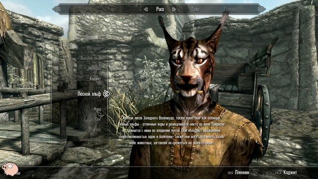 Создание персонажа SKYRIM смотреть онлайн