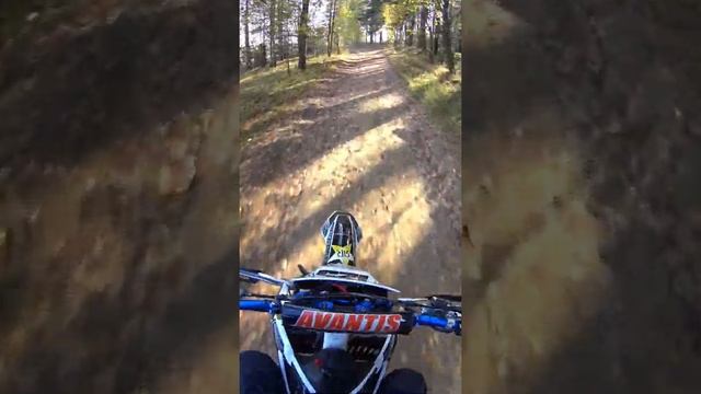 Avantis 250 enduro смотреть онлайн