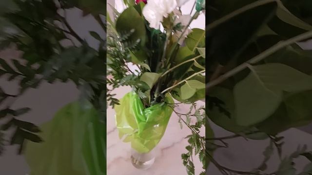 wow wow!!! смотреть онлайн