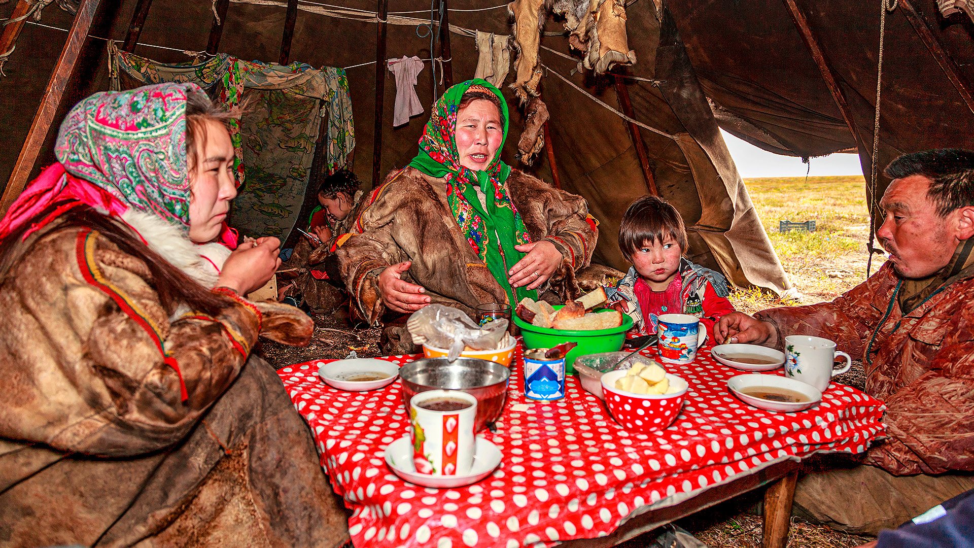 Почему ненцы - самый чайный народ в России смотреть онлайн