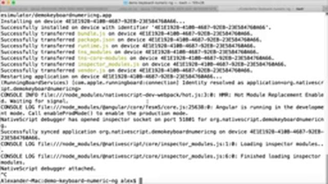 Exploring NativeScript Plugins: Numeric Keyboard смотреть онлайн