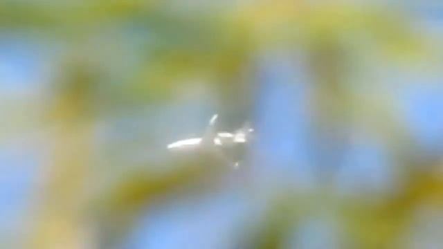 Gulfstream V G5 IAF-Israeli Air Force Amazing Zoom Canon SX30 IS 19-12-2011 HD смотреть онлайн