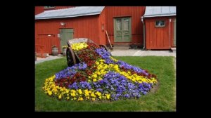 Красивые клумбы своими руками