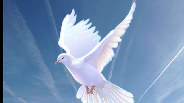 Молитовне Служіння - 24 Лютого | Evangelical Revival Church смотреть онлайн