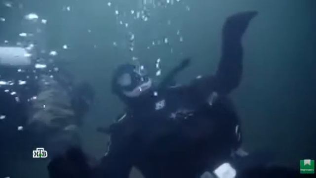 Моменты из Рубежей Родины