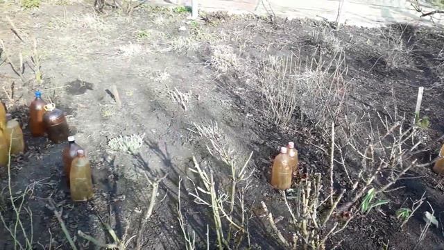 9 АПРЕЛЯ ГОДОВЩИНА СВАДЬБЫ НА ДАЧЕ С ШАШЛЫКОМ смотреть онлайн