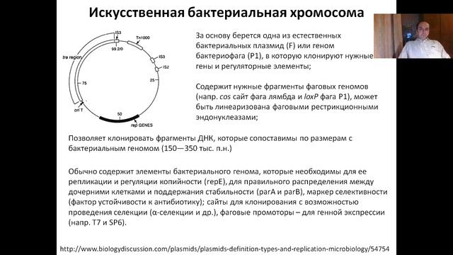 Лекция 9. Молекулярное клонирование (2022)