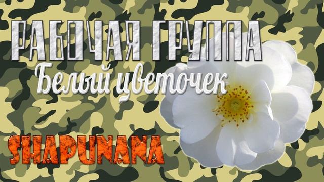 Рабочая группа - Белый цветочек смотреть онлайн