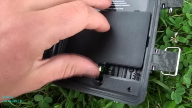 Самая лучшая фотоловушка для леса Bestok M660 смотреть онлайн