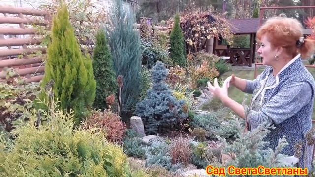 Красивый цветник В поисках гармонии.Поиск красивых сочетаний. ЛАНДШАФТНЫЙ дизайн своими руками. смотреть онлайн