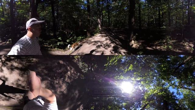 VR 360 Video. Прогулка по Тимирязевскому лесу от Сокола... смотреть онлайн