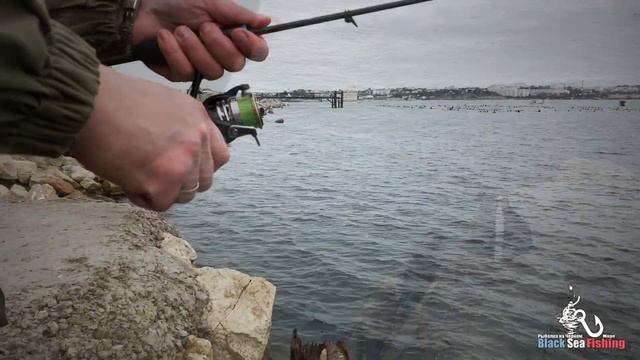 Ловим Смариду! Черноморский окунь на микроджиг. смотреть онлайн