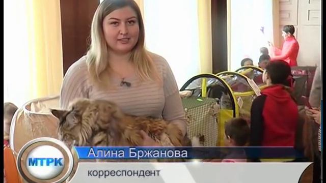 В Петропавловске прошла 33 международная выставка кошек смотреть онлайн