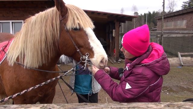 Огонек 4. "Борьба за власть" или как мы с конём воевали. смотреть онлайн