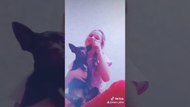 У меня есть собака... смотреть онлайн