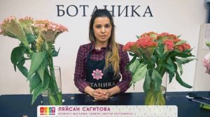 ЦЕЛОЗИЯ 2017 - собственное производство