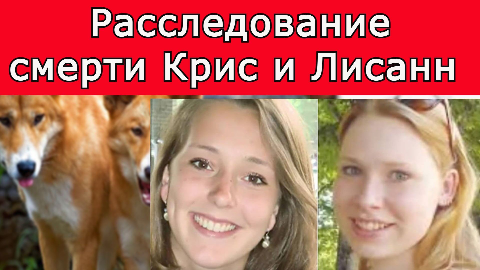 Расследование загадочной смерти Крис Кремерс и Лисанн Фрон. смотреть онлайн