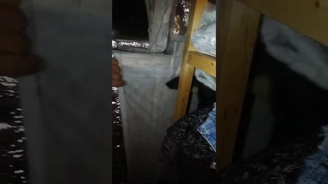 Когда у тебя живёт дома куница.?? смотреть онлайн