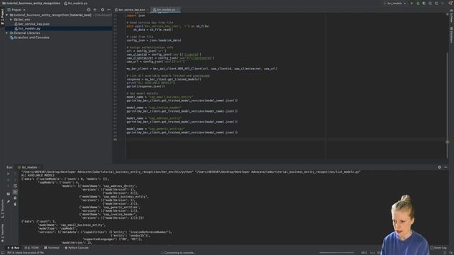 Access the Business Entity Recognition Service via the Python SDK смотреть онлайн