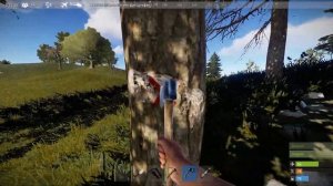 Бегу и откидывает назад в раст