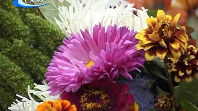 ПРАЗДНИК КО ДНЮ ПОЖИЛОГО ЧЕЛОВЕКА смотреть онлайн