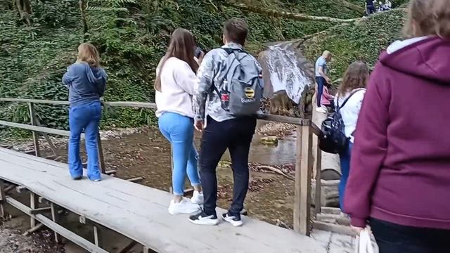 Удивительно красивая экскурсия 33 водопада.Сочи октябрь 2021г смотреть онлайн