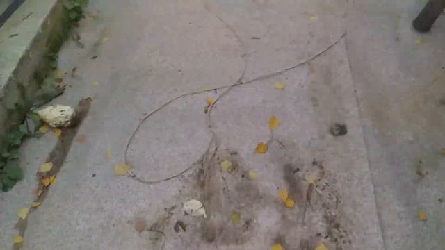 Домовенок Ремонтович