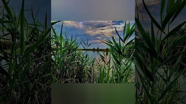 Видео фотовыставка " Я вижу красоту в мелочах" Бочаровой Ольги. Желаем всем приятного просмотра. смотреть онлайн