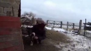 Канал Наших Друзей ,Ферма У Пруда