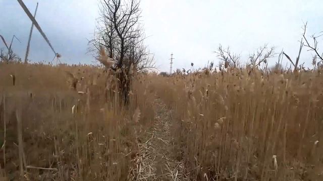 Старые РЫБАЦКИЕ места. Пришёл посмотреть, А ТАМ...))) смотреть онлайн