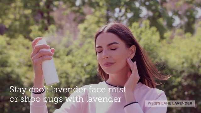 Tasty Summer Delights and other uses for lavender смотреть онлайн