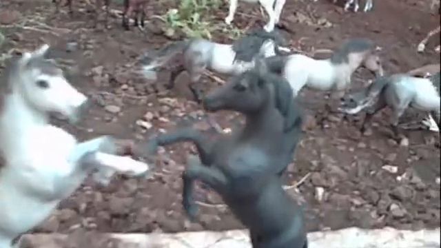 New Schleich series Trailer:Conquering Lands!! смотреть онлайн