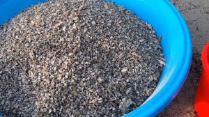 Как удобрить землю Голубиным пометом