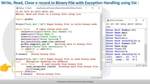 Binary Files in Python смотреть онлайн