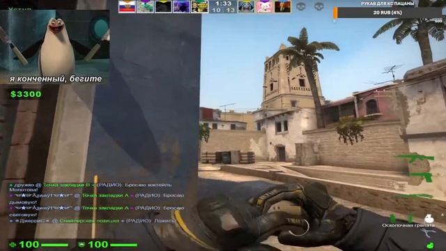 понос   собаки