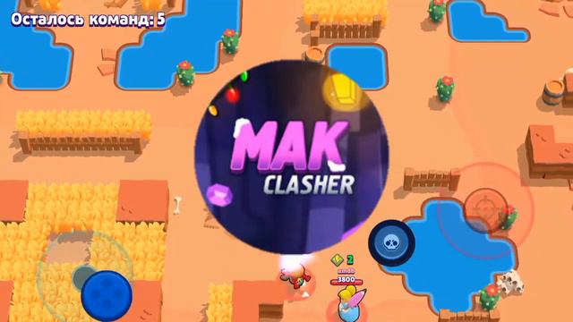 ЮБИЛЕЙ. 1000 подписчиков на канале. Угарные поздравления от ютуберов. Brawl stars /бравл старс смотреть онлайн