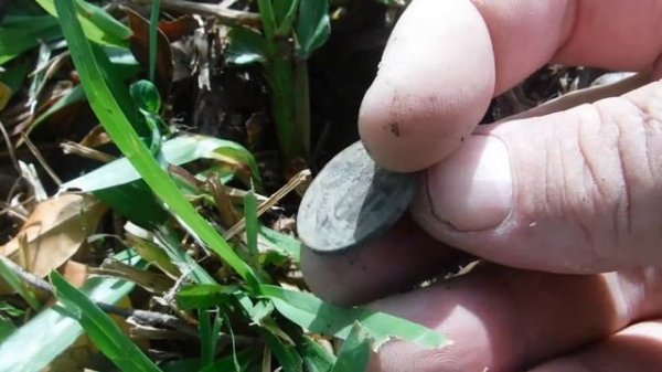 5 X 10" Coiltek test on Minelab Explorer II