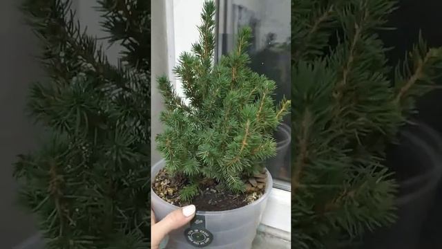 Строительные Новости