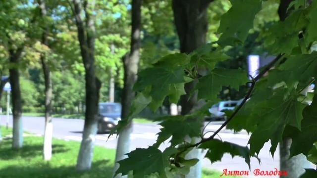 Железногорск 2014 смотреть онлайн