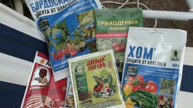 Чем защитить розы от болезней и вредителей. смотреть онлайн